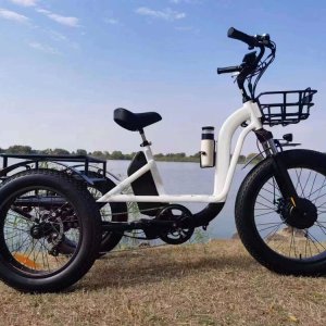 electric tricycle