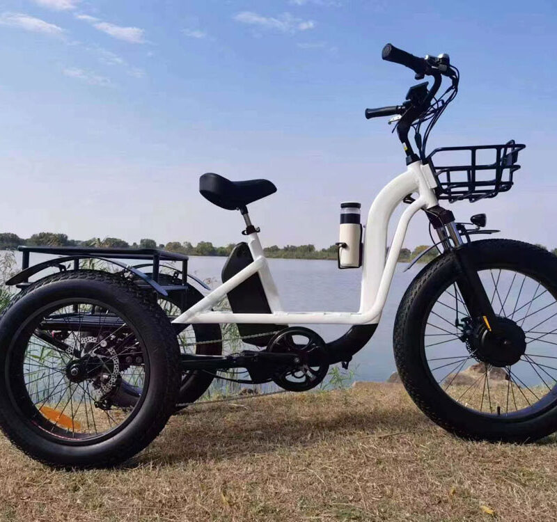 electric tricycle